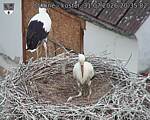 Capi_Dubne_20260731_203502.jpg