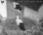 Capi_Dubne_20260731_210502.jpg