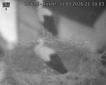 Capi_Dubne_20260731_211003.jpg