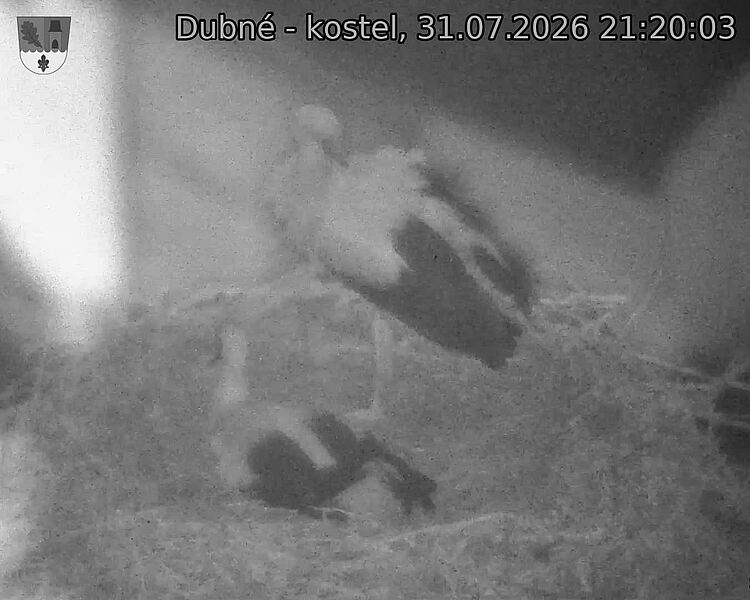 preload