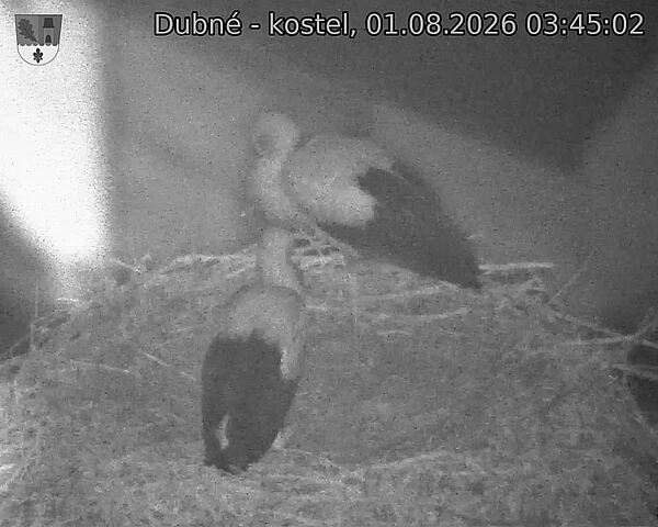 preload