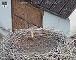 Capi_Dubne_20260801_055503.jpg