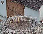 Capi_Dubne_20260801_060503.jpg