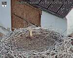 Capi_Dubne_20260801_063004.jpg