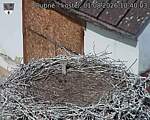 Capi_Dubne_20260801_104003.jpg