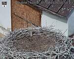 Capi_Dubne_20260801_105003.jpg