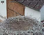 Capi_Dubne_20260801_105502.jpg