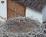 Capi_Dubne_20260801_110503.jpg
