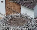 Capi_Dubne_20260801_111004.jpg