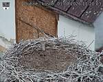 Capi_Dubne_20260801_112003.jpg