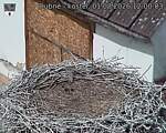 Capi_Dubne_20260801_120003.jpg