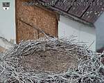 Capi_Dubne_20260801_122004.jpg
