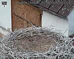 Capi_Dubne_20260801_122503.jpg
