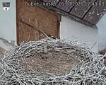 Capi_Dubne_20260801_124003.jpg
