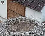 Capi_Dubne_20260801_125003.jpg