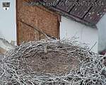 Capi_Dubne_20260801_125504.jpg