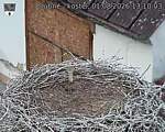 Capi_Dubne_20260801_131003.jpg