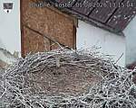 Capi_Dubne_20260801_131504.jpg
