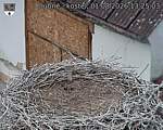Capi_Dubne_20260801_132503.jpg