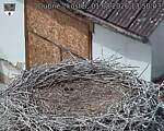 Capi_Dubne_20260801_135003.jpg