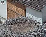 Capi_Dubne_20260801_140503.jpg