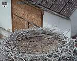 Capi_Dubne_20260801_142004.jpg