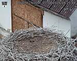 Capi_Dubne_20260801_142504.jpg