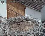 Capi_Dubne_20260801_144004.jpg