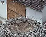 Capi_Dubne_20260801_145002.jpg