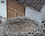 Capi_Dubne_20260801_150503.jpg