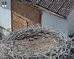 Capi_Dubne_20260801_151003.jpg