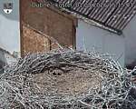 Capi_Dubne_20260801_151503.jpg