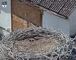 Capi_Dubne_20260801_152004.jpg