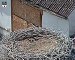 Capi_Dubne_20260801_152504.jpg