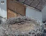 Capi_Dubne_20260801_153004.jpg