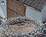 Capi_Dubne_20260801_155003.jpg