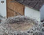 Capi_Dubne_20260801_155503.jpg