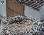 Capi_Dubne_20260801_160503.jpg