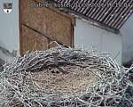 Capi_Dubne_20260801_161004.jpg