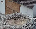Capi_Dubne_20260801_162004.jpg