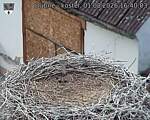 Capi_Dubne_20260801_164003.jpg