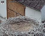 Capi_Dubne_20260801_171004.jpg