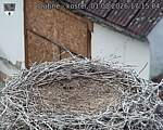 Capi_Dubne_20260801_171504.jpg
