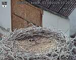 Capi_Dubne_20260801_172002.jpg