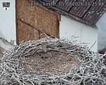 Capi_Dubne_20260801_172504.jpg