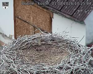 preload