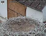 Capi_Dubne_20260801_173504.jpg