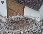 Capi_Dubne_20260801_174502.jpg