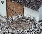 Capi_Dubne_20260801_175003.jpg