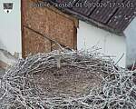 Capi_Dubne_20260801_175503.jpg